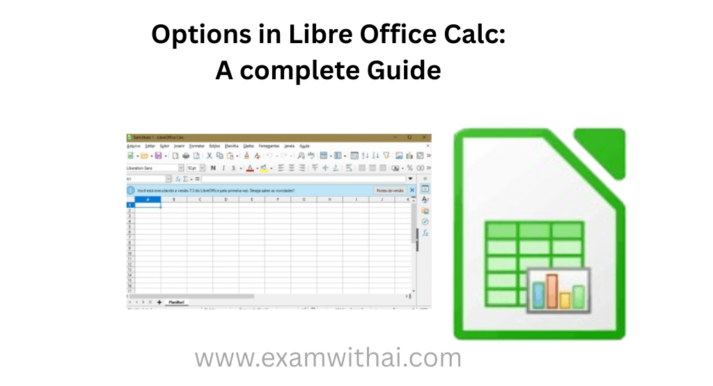 options in libre office calc