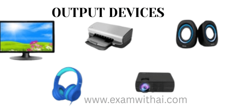 Computer's output devices