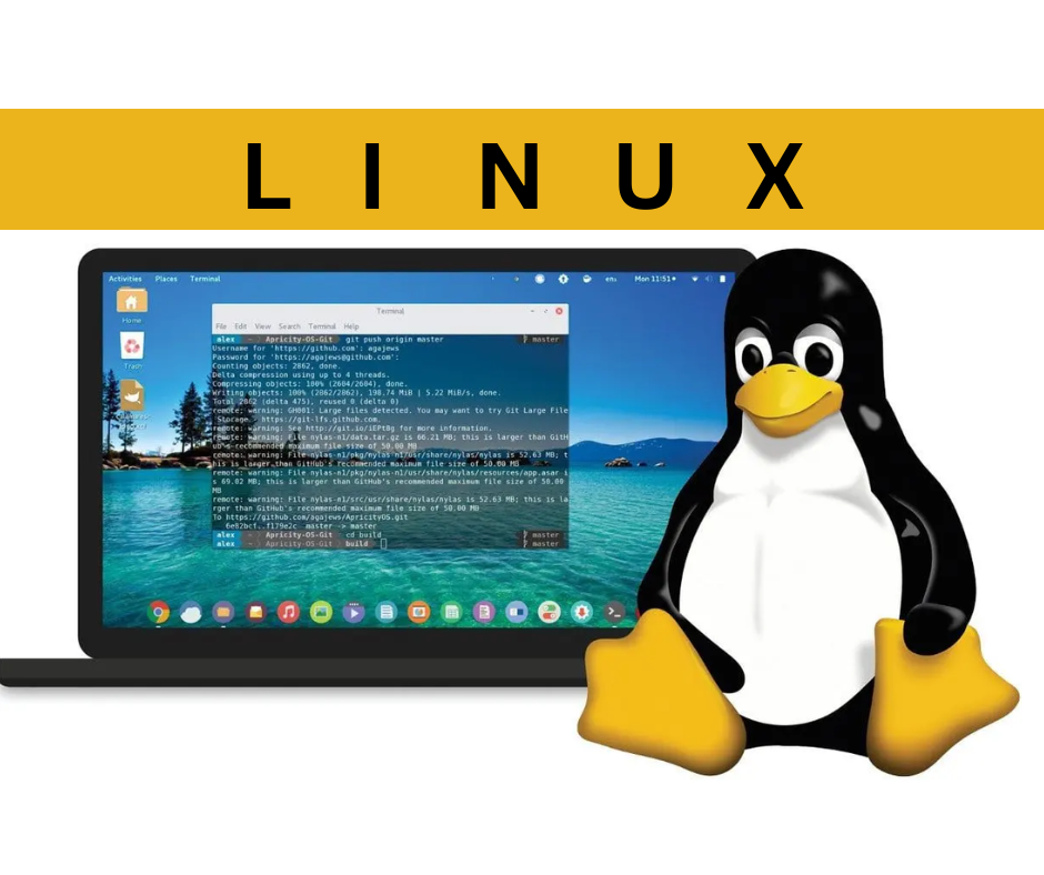 LINUX