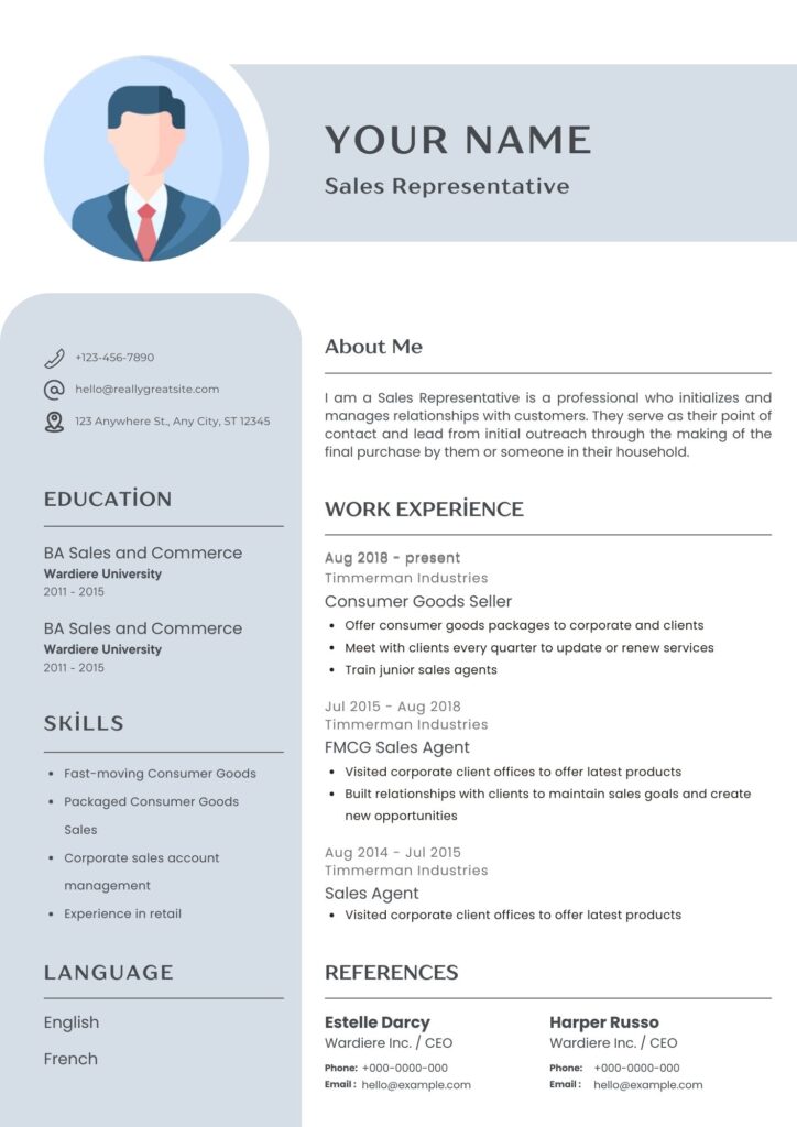 double vertical column formate of professional resume
